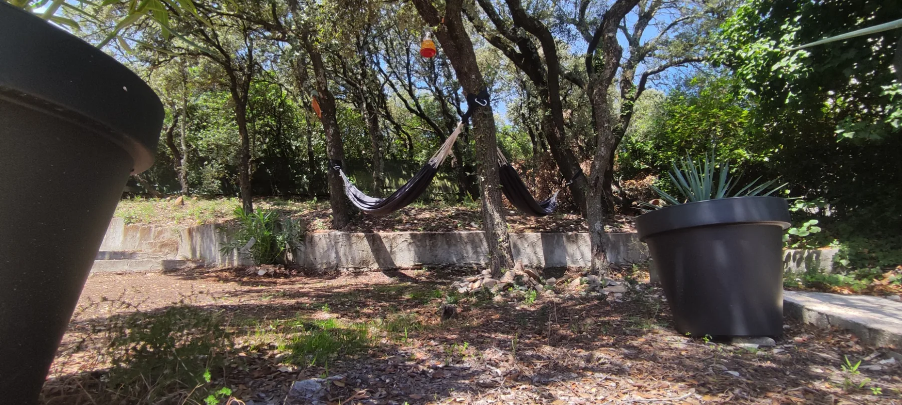 Hamac dans le jardin sous les chênes